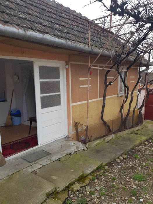 Casa de vanzare comuna covasint judetul arad