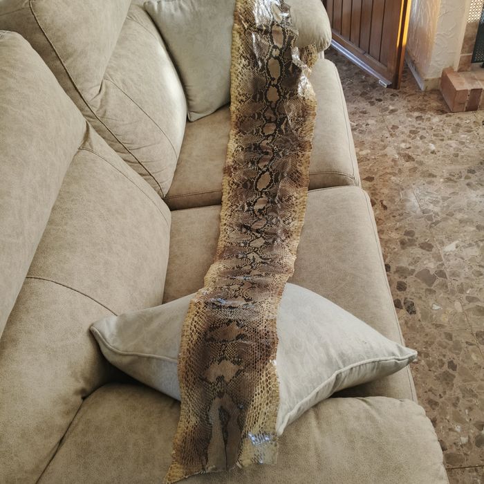 Огромна кожа от питон