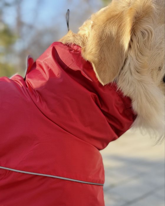 Дождевик для собак