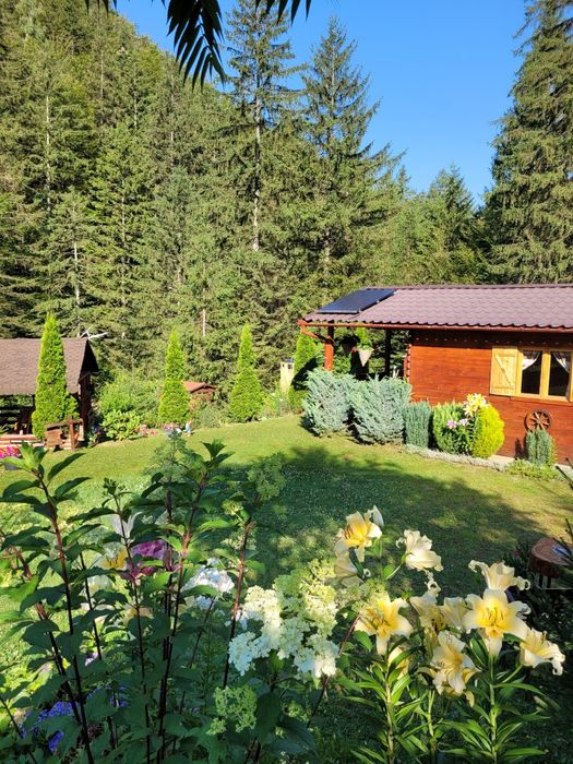Cabana la munte, pe Valea Moașei, in apropiere de Sibiu