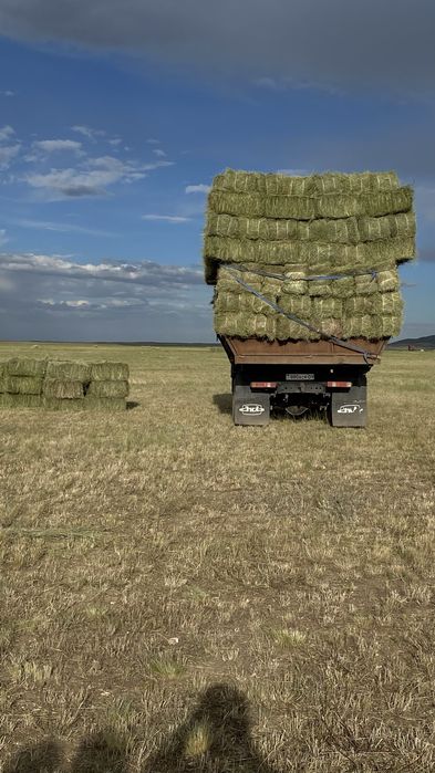 Проаю сено в тюках