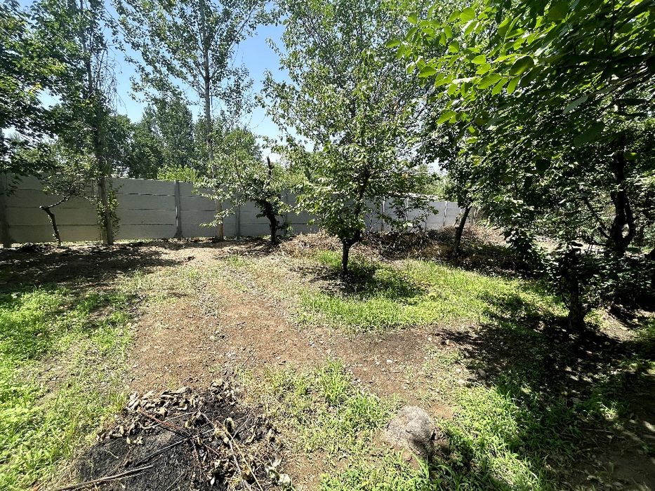 10 сотихли дача 2 хона уйи билан кадастрга улчаб кетишди