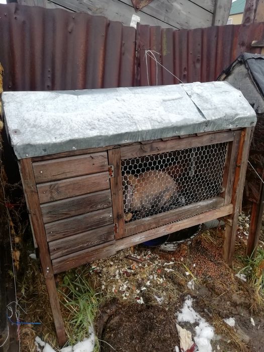 Продам клетки либо обмен