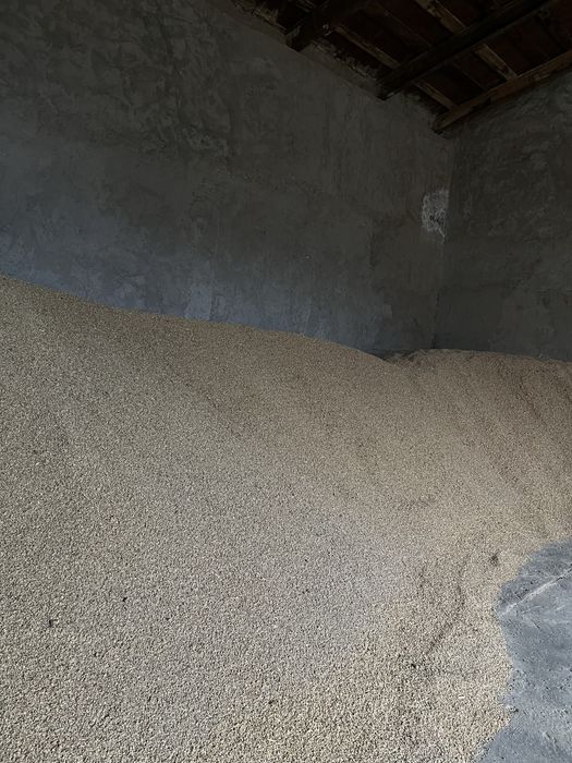 Эспарцет ұрық сатылады