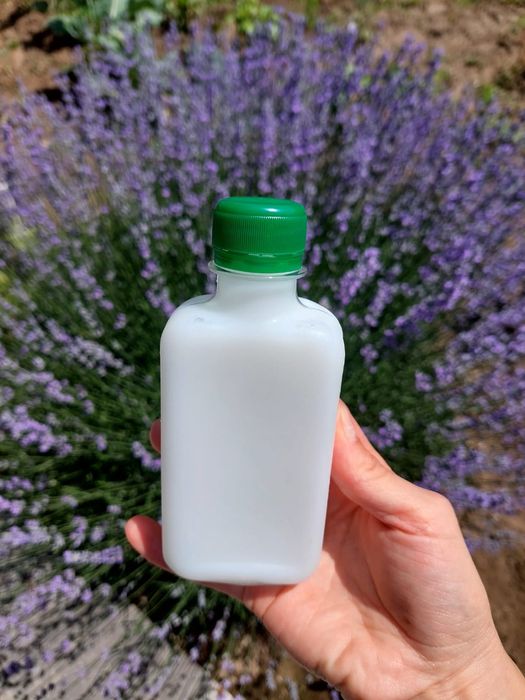 Lapte de măgăriță,pt sănătatea ta!