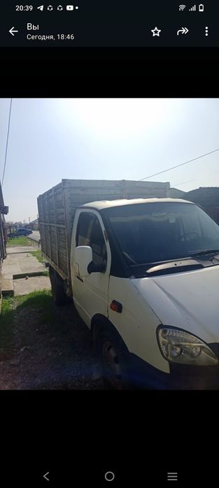 Газель состаяние средный