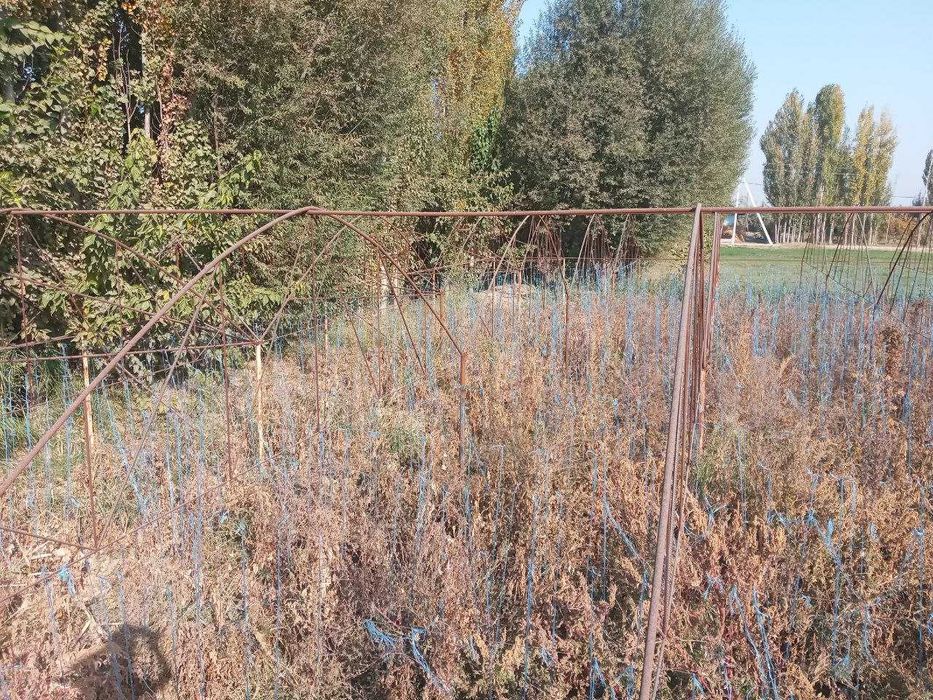 Диккат TЕПЛИЦА срочно сотилади