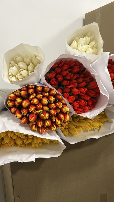 Тюльпаны оптовые заказы на праздники