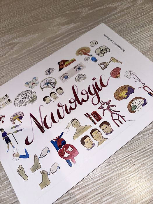 Flashcarduri Smartysh- Set Triade 1, 2, 3A si 3B + CADOU planse Logia