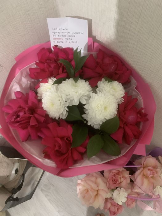 Цветы свежые красивые город тараз