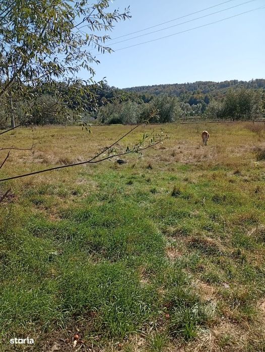 Vand casa + teren 5500mp Cacica, Langa Suceava sau schimb ap.Bucuresti