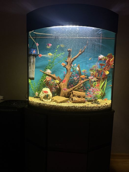 Продам аквариум с рыбками