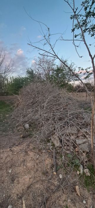 Дрова  самовывоз