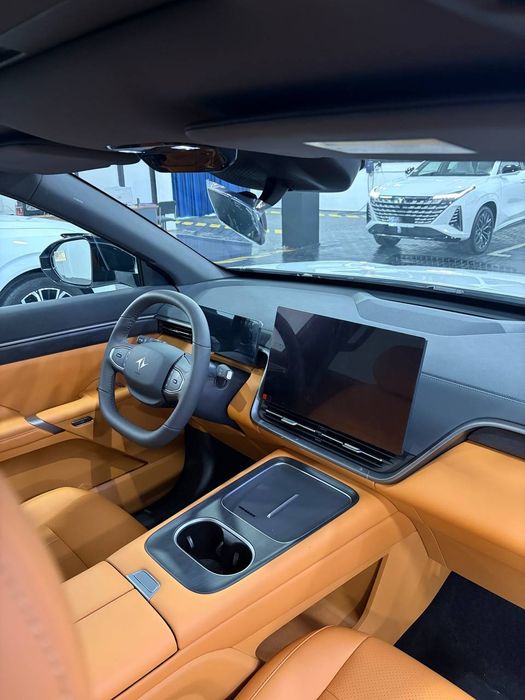Dongfeng 2025 max Shot spravka