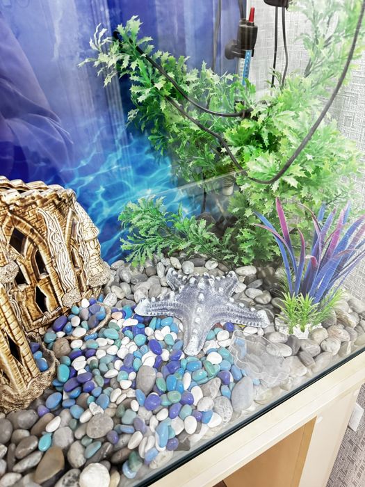 Продам аквариум в комплекте