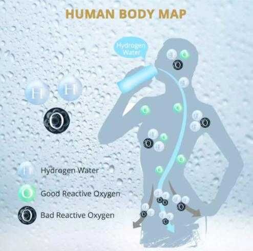 Кислородни Сребърни Йони Алкален Генератор pH9.9 Жива Вода Алкализатор