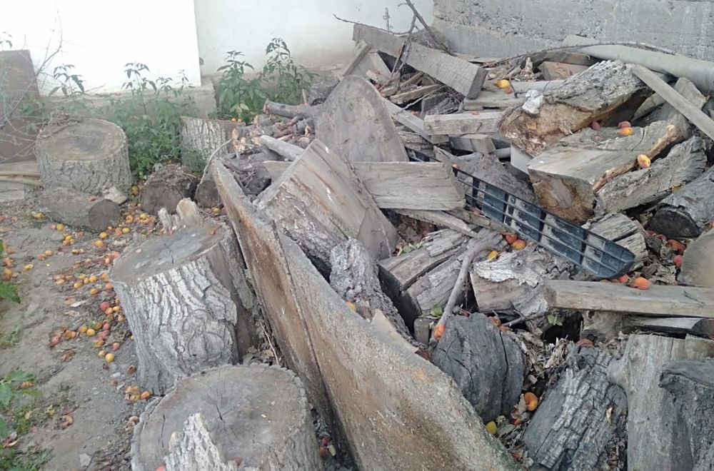 Продам дрова . Самовывоз