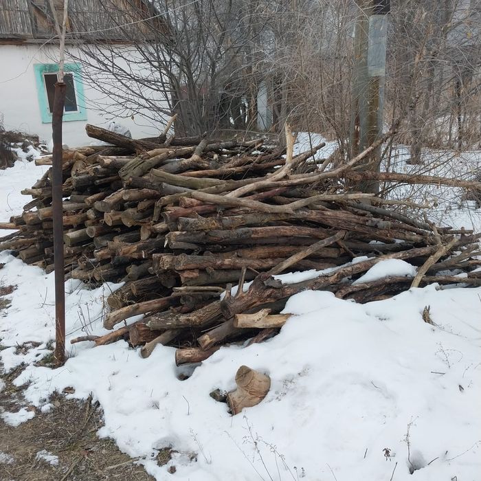 Дрова сухие продам