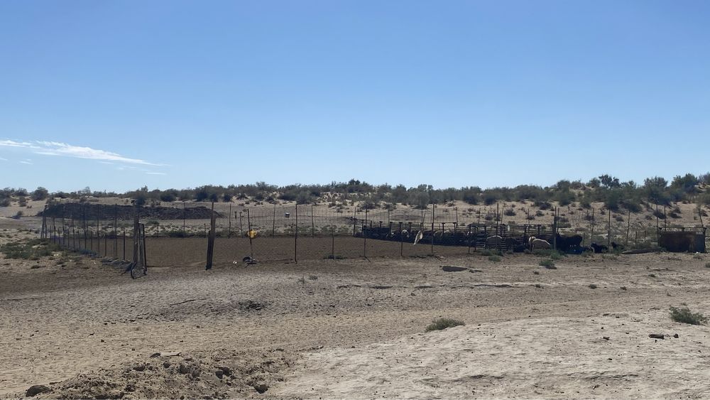 Фазенда сатылады СРОЧНО!!!