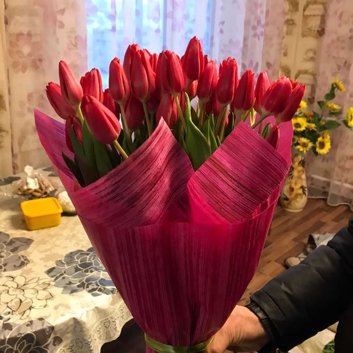 Тюльпаны напрямую с Теплицы