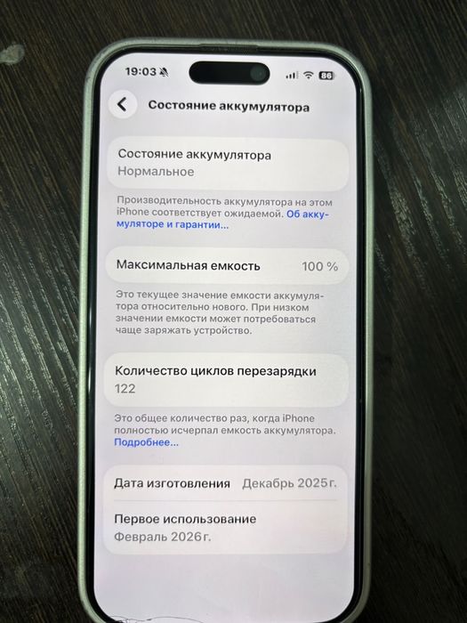 Iphone 17 с 256 100 емкость. Е сим