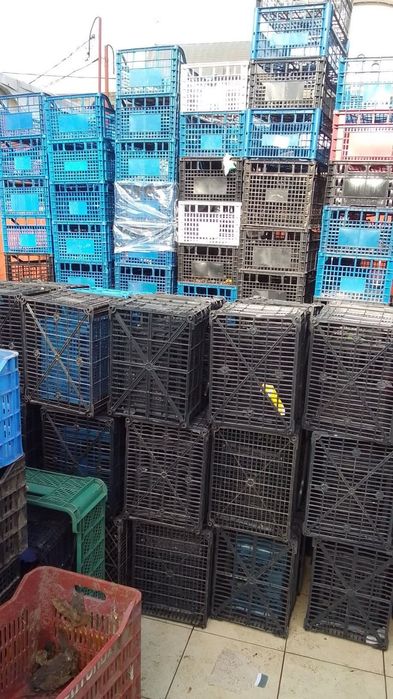 Ladite legume fructe