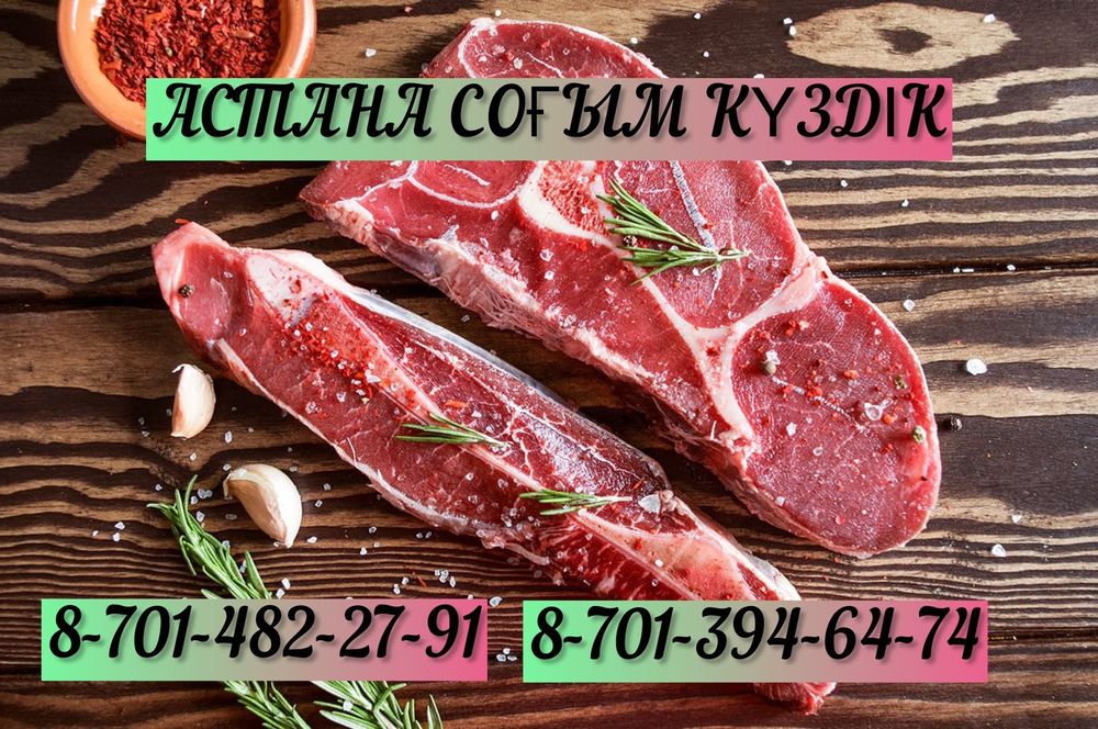 Жылқы  жылқы жылқы