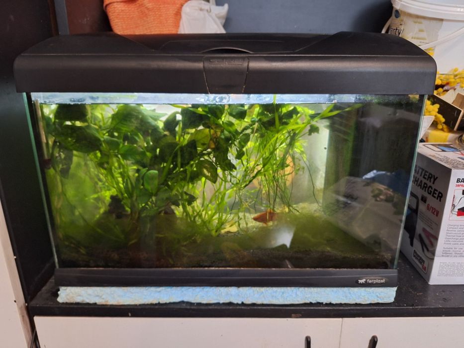 Аквариум ferplast capri 50