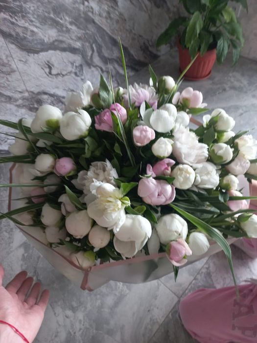 Свежие пионы , букетами