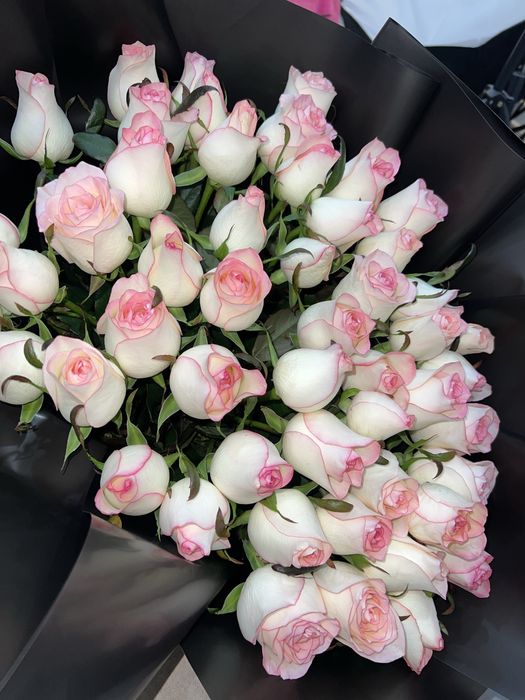 Цветы розы , сегодня только дали