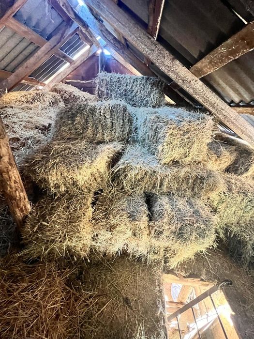 Шөп пресс сатылады