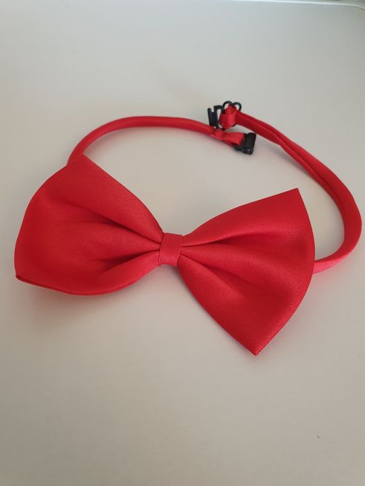 Подтяжки и бабочка для мальчика