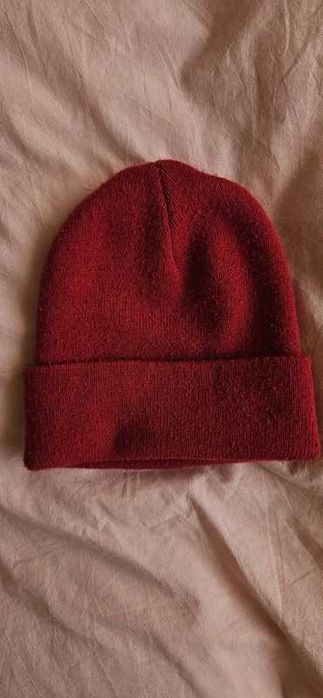 Fes iarna Carhartt