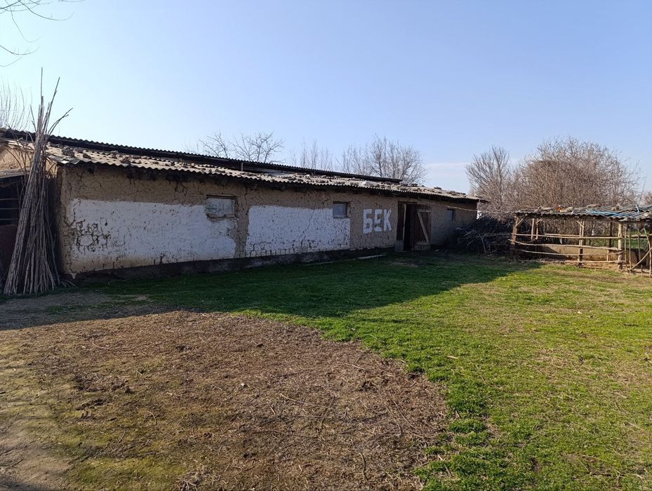 Molxona sotiladi - Sirdaryo viloyati Sayxunobod tumani