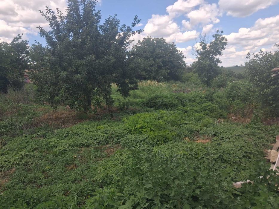 Парцел за жилищно строителство, село Давидово, 1180 кв.м.