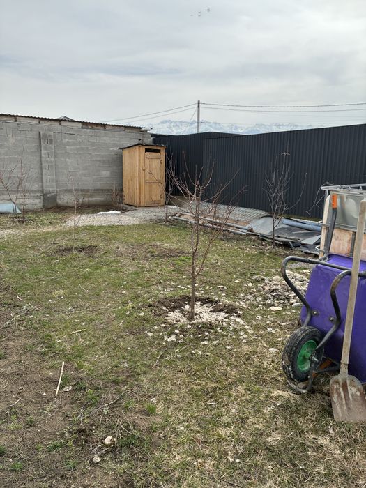 Пересодить дерево Туздыбастау