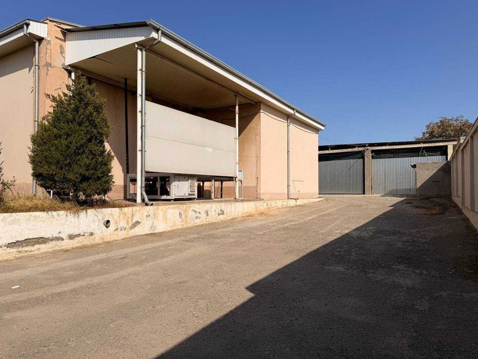 Агро-логистический комплекс с холодильными камерами |1000 тонн|