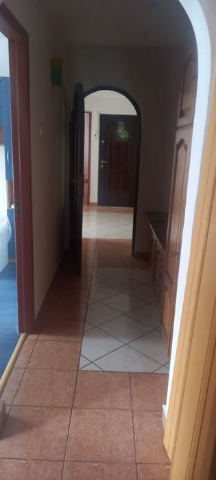 3 camere, Petre Ispirescu
