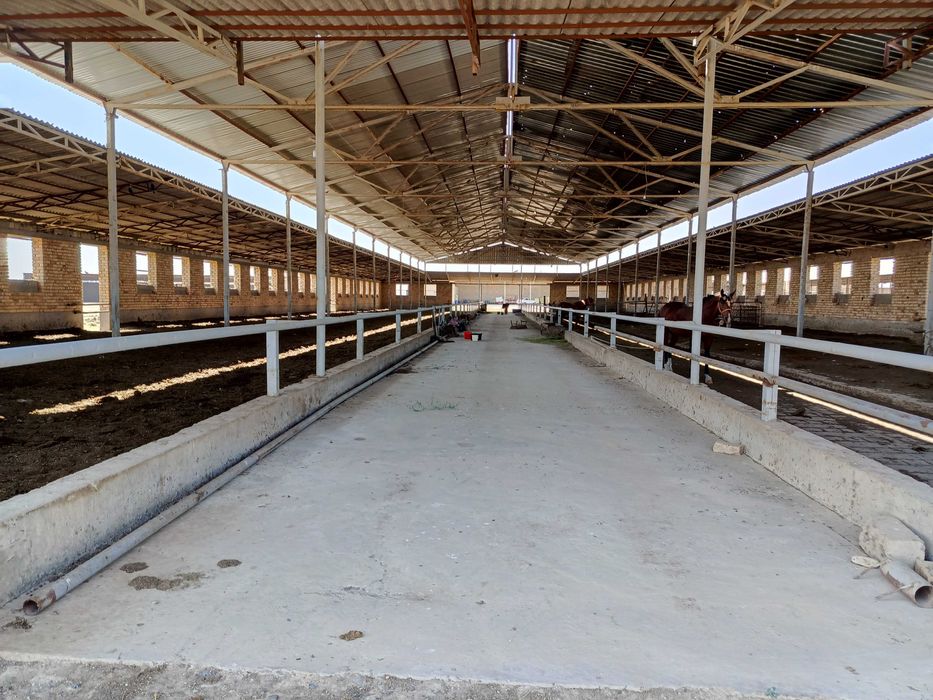 Ферма 3.5 Га город Каттакурган цена 450 000 уе торг есть