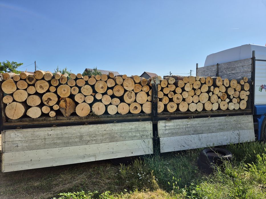 Lemne de foc esență tare.