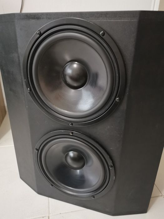 Visaton w 250 S bg 17 horn