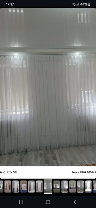 Дикий тюль  Дикий тюль