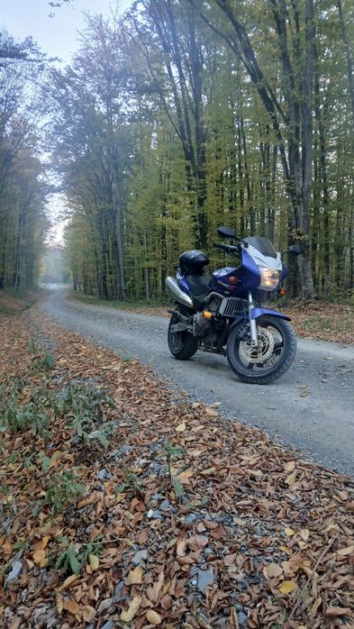 Vand Honda Hornet