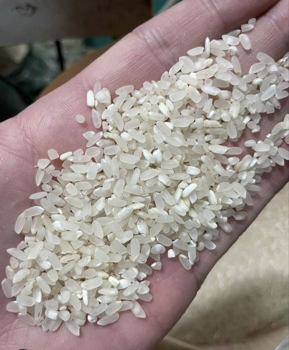 Продам рис оптом, сорт «Янтарь»