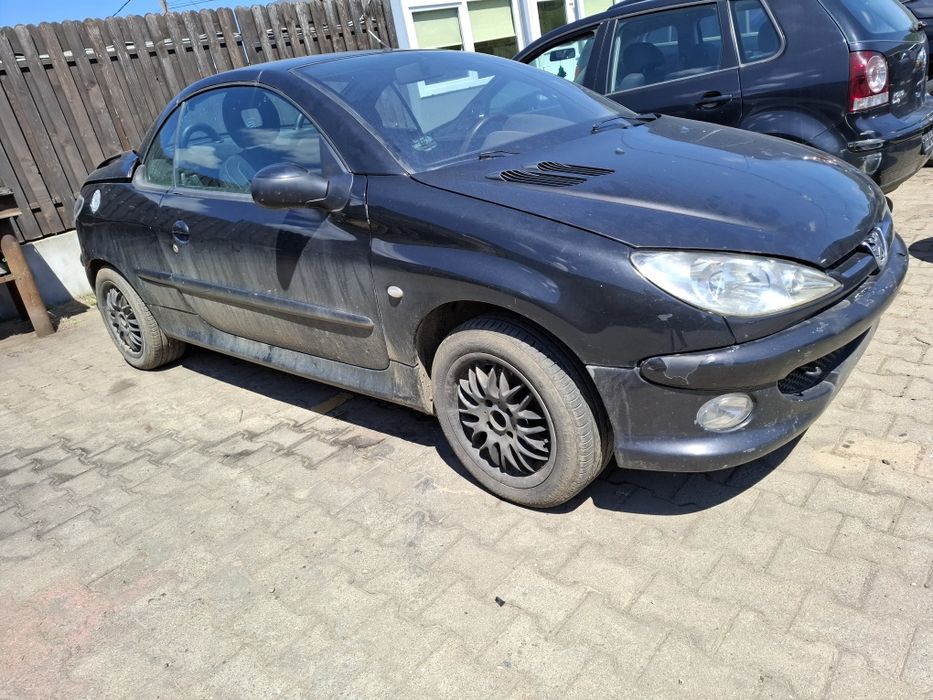 Elemente Caroserie Peugeot 206 CC An 2005