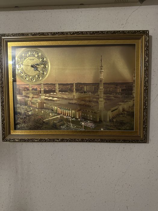 портрет сотиладии