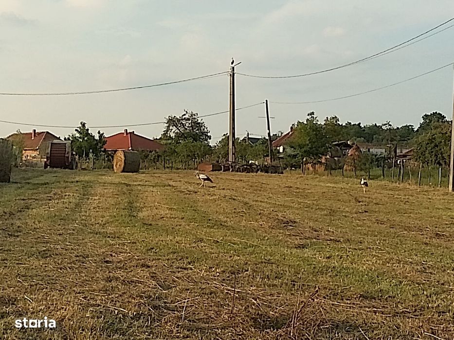 Teren intravilan de vanzare