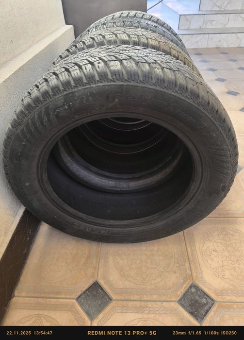 Зимний шипованные шины