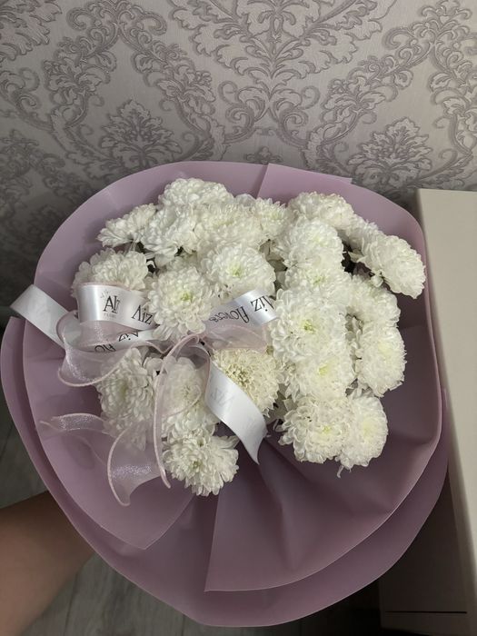 Продам  цветы харизонтем