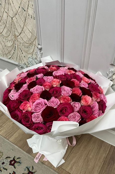 розы 101 свежийе